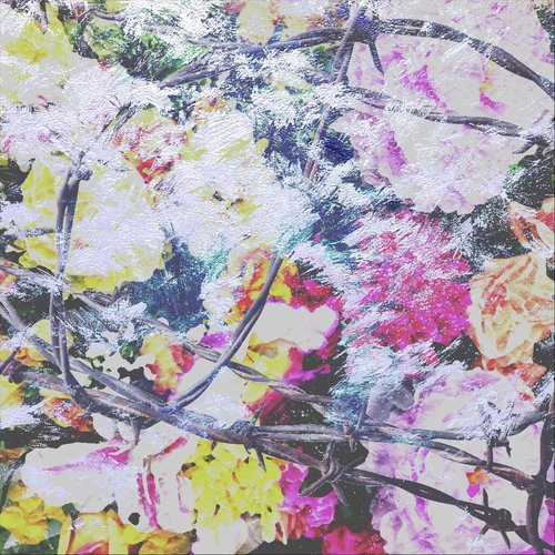 Dylan Ramras Songs MP3 Download